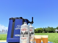 Portable beer dispenser with 2L cans