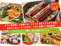 6/1~  うなぎ追加登場★ソフトドリンクのみ★フレッシュハーブ薫る　魚もお肉もデザートも！【土日祝】2部