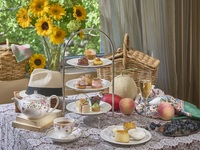 【with original cocktail】Color Palette Summer Picnic