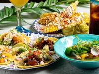 PARTY CASUAL COURSE & Free Drink