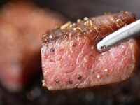 WEB予約限定：あけぼの味わいコース｜厳選牛ヒレステーキ（200g）
