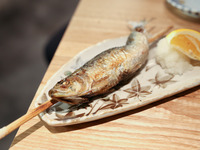 ◆２時間半飲み放題コース【日本酒全種含め】（旬のお料理+飲み放題【日本酒全種】）