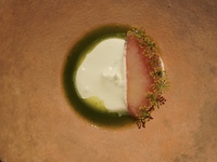 June Parcours Non-Alcoholic Pairing
