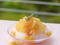 [Tea Time]Peach shaved ice