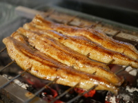鰻かば焼き　300g　5,400円