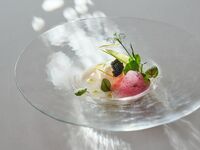 Menu Verde【平日限定】6月15日～