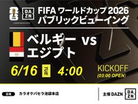 [June 16th (Tue) Belgium vs Egypt] ⚽ Football viewing package (3 hours)