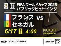 【6/17（水）フランス VS セネガル】⚽サッカー観戦パック3時間