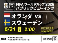 【6/21（日）オランダ VS スウェーデン】⚽サッカー観戦パック3時間