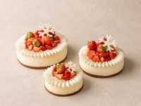 Strawberry Cheese Cake (15cm / for 4–6 persons) 