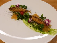 『夏季限定』夏宵コース