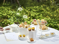 【Patina Dining Days】窓側確約・乾杯シャンパン付　ビー ドゥ ショーメ アフタヌーンティー（5％ご優待）