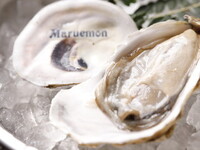 Let's get oyster-fueled! HAPPY HOUR [3 oysters + 1 drink]