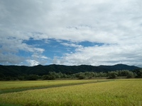 「森から島から」夏のごちそうコース