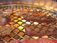 【2ｈ飲み放題付き】焼肉堪能コース