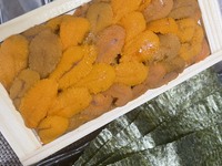 完全予約限定！至福の逸品『板うに』丸ごと１枚