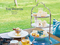 White Afternoon Tea and LIVE Sweets ～Bitō Kogare Yuki～