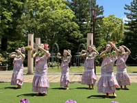 【10周年記念企画：7/27・7/28】＜ウエルカムドリンク＆ハワイアン フラダンスショー付き＞ランチ！沖縄×ハワイの絶品グルメとフラダンスで盛り上がる特別な夏休み！「HulaStudio LanaPono&Le’a」小学生