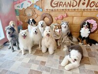 【平日】ふれあいプラン　スペシャルドリンク付き