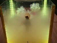 Fluffy Art Ice　-Citrus-