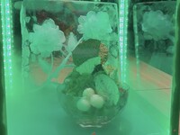 Fluffy Art  Ice　-Matcha-