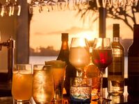 テラス 飲み放題　プレミアム　90分