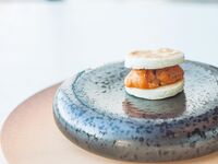 期間限定‼【Dinner Menu S】　人気のワインペアリングが半額で楽しめる特別コース