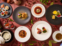 【WEB10%OFF】Sichuan Course