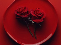 Special Valentine's Day Course