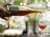 [THE ROOF] Free Drink Plan