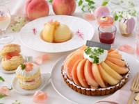 Peach Dessert Buffet – Elementary school students