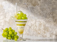 【9/1～10/31】Strings Parfait「Shine Muscut ＆ Green Tea」Special Price！