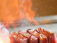 fillet lunch