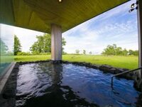 Day trip lunch & hot springs package