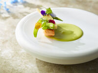 【ランチ】Gourmet Voyage Lunch ～東京美食巡り2026夏～