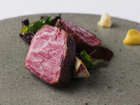 【LUNCH COURSE 8800YEN】旬の食材を季節毎にお楽しみ頂ける全6品　8月7日からの新メニュー