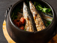 [Black Pine ~Autumn Cosmos~] A total of 9 dishes featuring autumn delicacies such as salmon and amberjack, premium Wagyu beef, and freshly cooked mackerel rice.