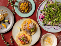【Dinner】 4-Course Dinner: Popular guacamole and tacos, choice of main course + one complimentary menu upgrade + all-you-can-drink included