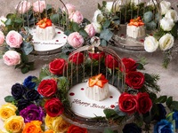 NEW【特別ランチ｜記念日＆推し活】ROSE WISHES "想いを彩る9色のローズ・ヴェールケーキ " +9 Collars カクテル付き