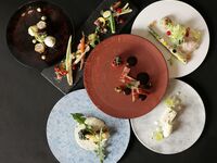 【8月期間限定10％OFF】テロワール“Terroir”