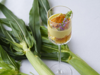 Dinner/Tasting Short 豪華食材を使った全5品　