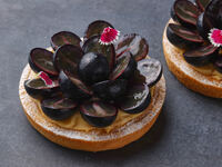 Fruit Tart (Lèzan) <Whole> 9/1-
