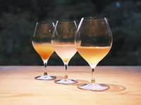 Autumn Full Course ~Voice of Thin Bush Clover~ + 5 Non-Alcoholic Pairings