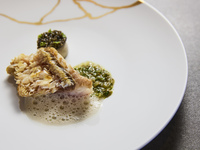 [Lunch course]