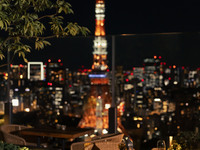 【Tower View Seat Guaranteed】 August 12th until October 4th Moonlight 5 course Dinner at The Garden Terrace