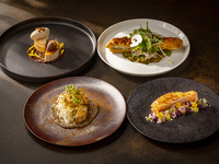 KASA/【シェフズコース】肉×魚 Wメインの旬の食材を楽しむコース4品（9/1から）
