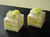 Melon Shortcake