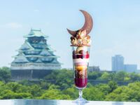Marron Parfait “SHOGUN”