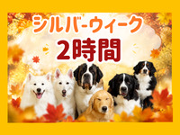 2時間連続入場券