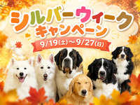 Silver Week admission tickets: Sep 19–Sep 27, 2 consecutive hours